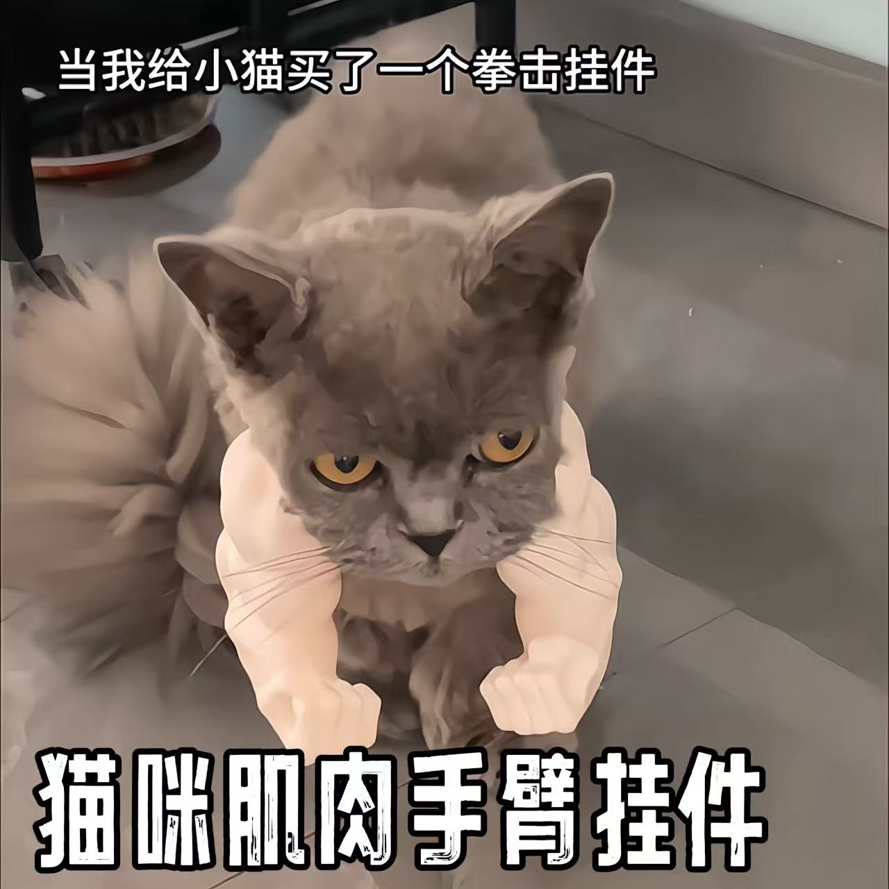 猫咪肌肉手臂挂件创意3d
