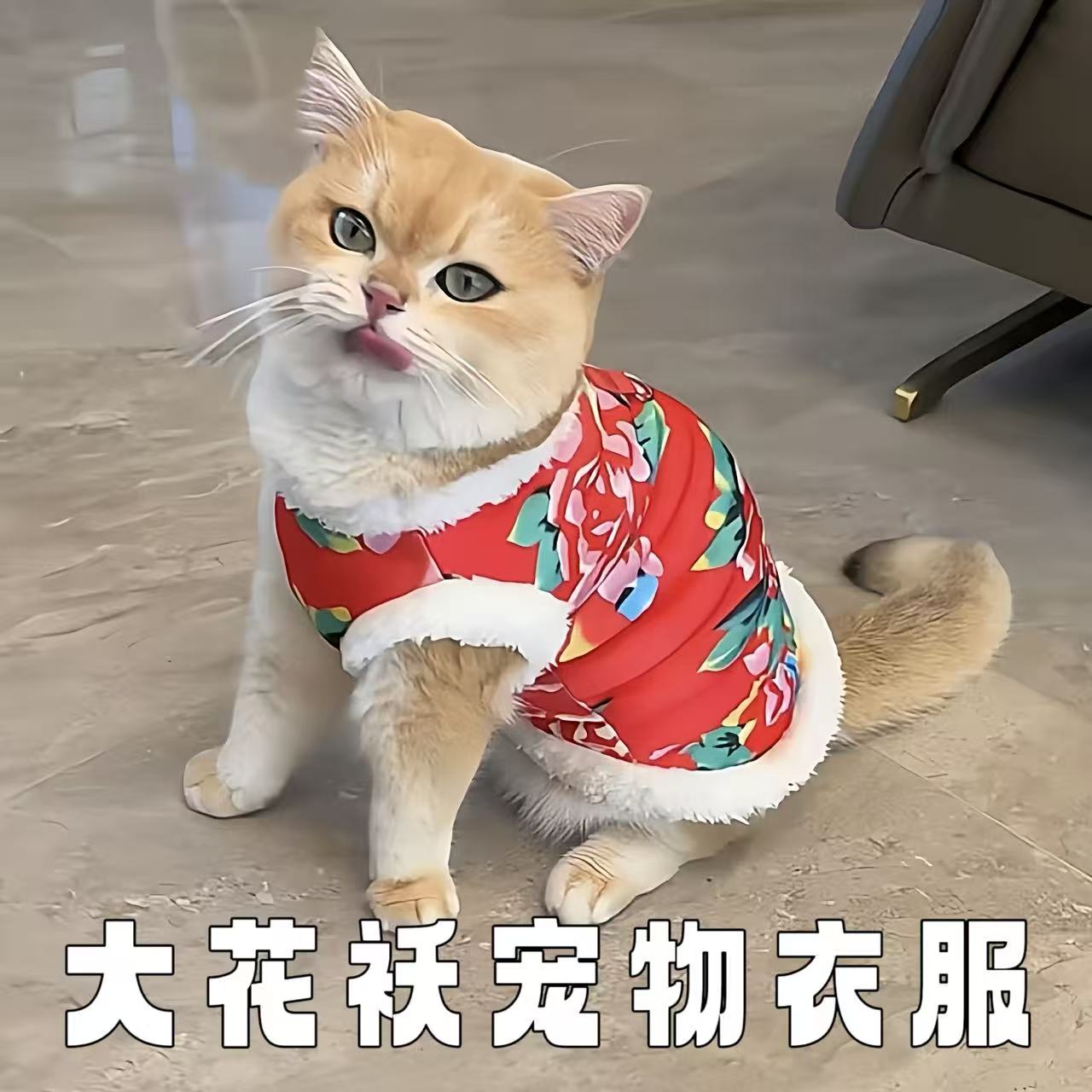 大花袄宠物衣服新年保暖