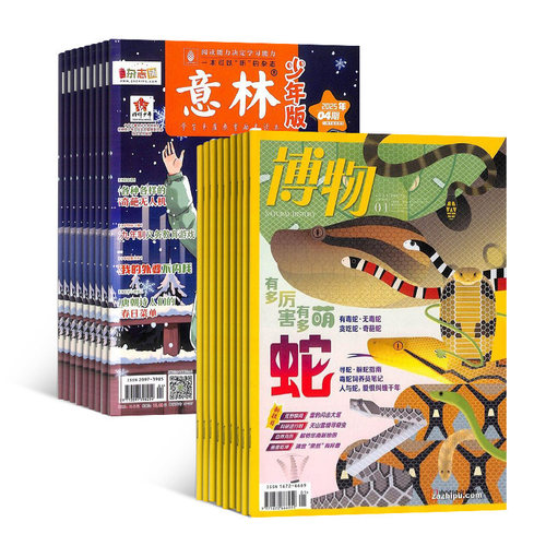 意林作文素材杂志组合订阅