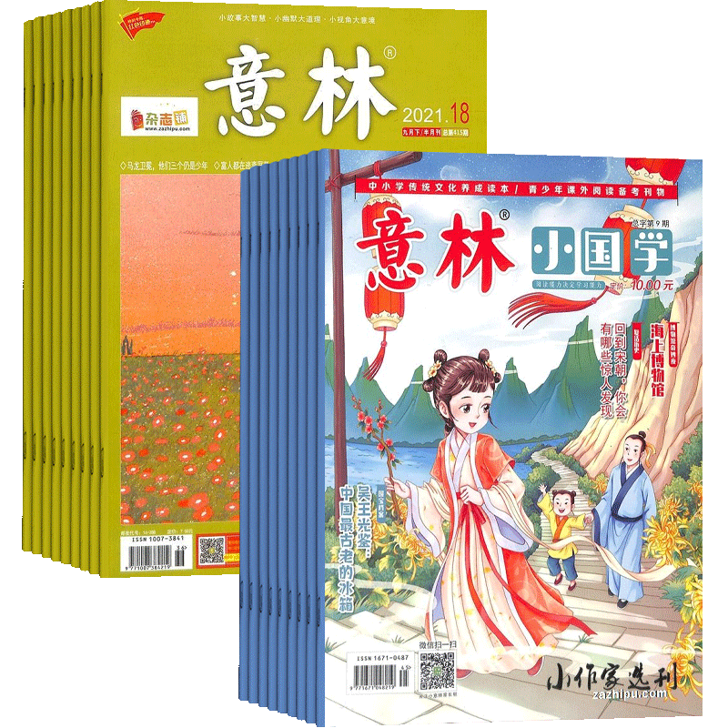 高中生课外阅读期刊杂志