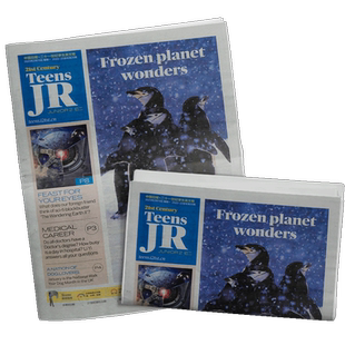 二十一世纪学生英文报初二杂志  2025年12月起订 1年共50期 杂志订阅 21世纪英语报提高英语阅读口语能力初中英语学习辅导期刊