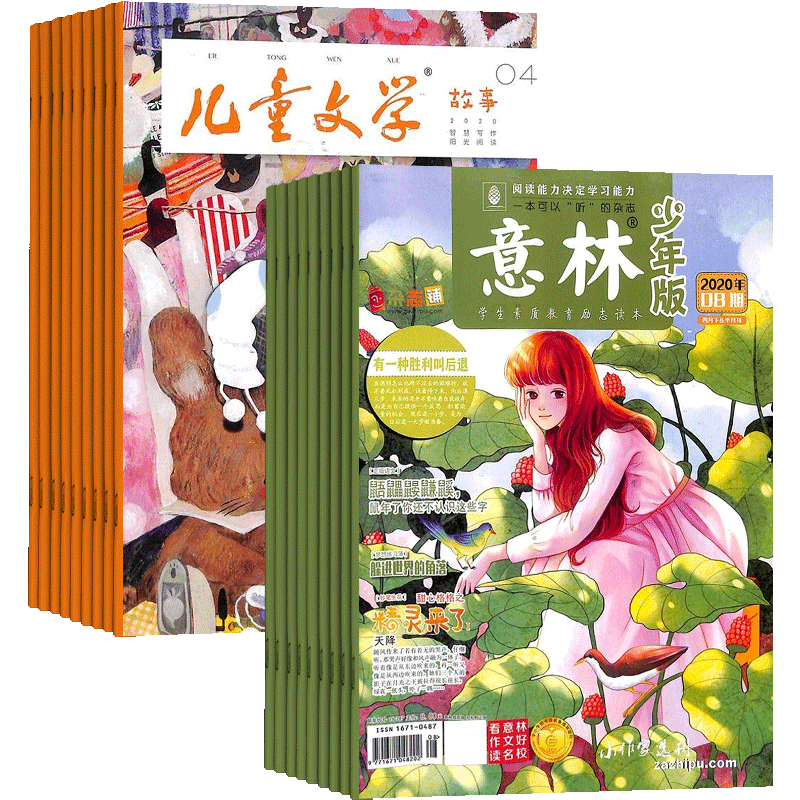 意林少年版加儿童文学
