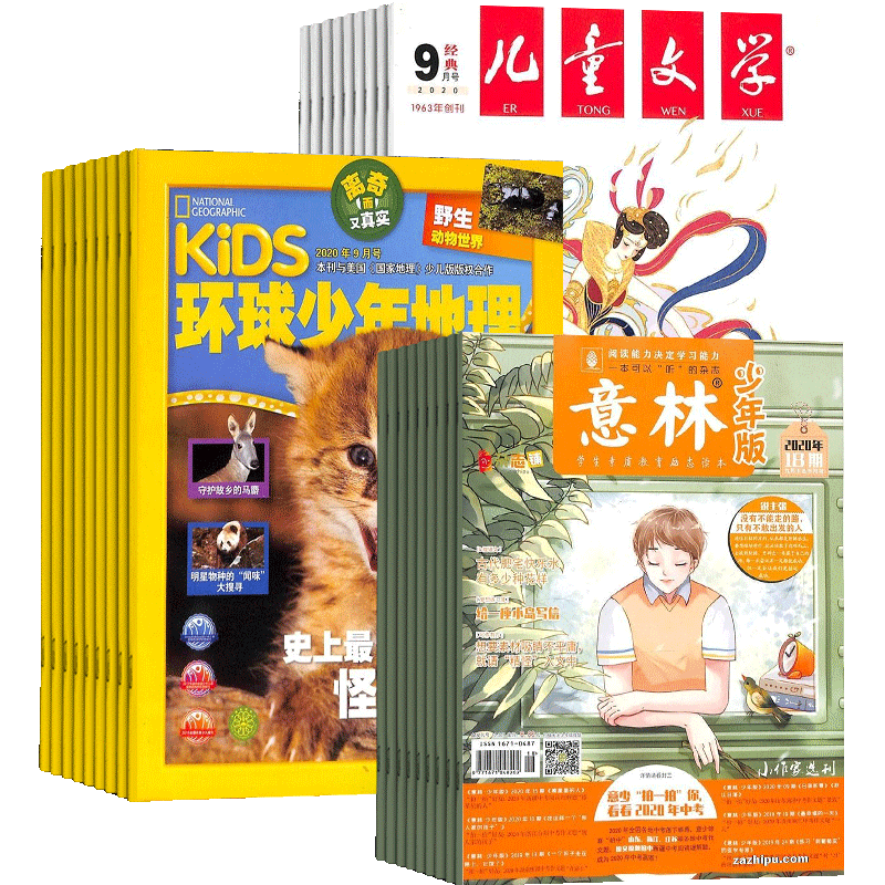 儿童文学+环球少年地理+意林