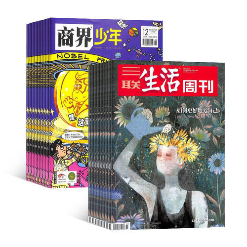 商界少年+三联生活周刊组合