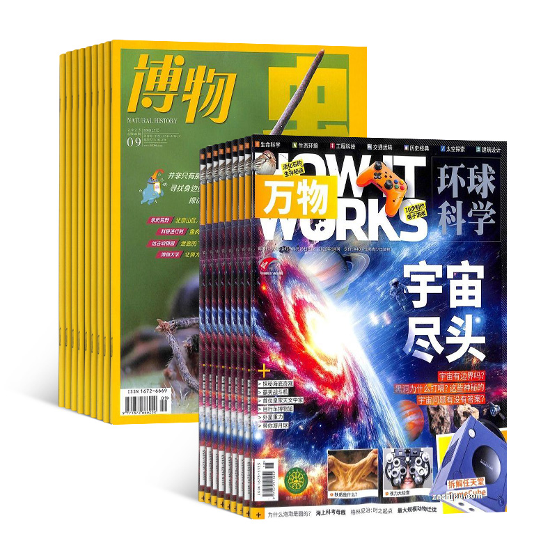 【全年12个月订阅】限时促销 万物/博物/好奇号/商界少年/读者/意林/国家地理 组合订阅 2026年订阅 杂志铺