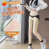 加绒加厚保暖打底无尴尬线瑜伽骑行裤 羊绒蚕丝鲨鱼裤 女外穿秋冬款