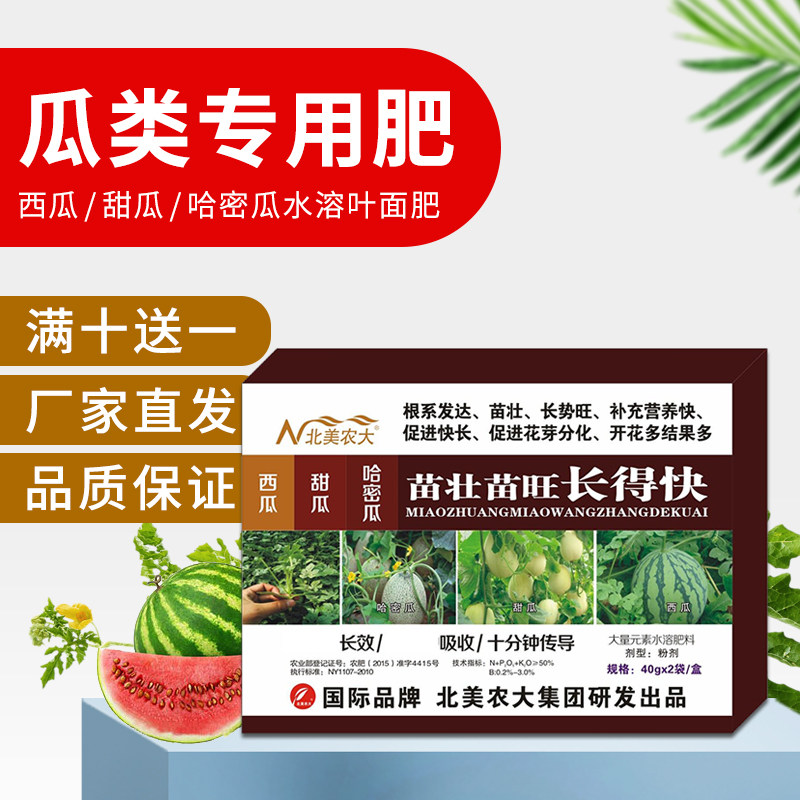 西瓜甜瓜哈密瓜苗壮苗旺长得快西叶面肥