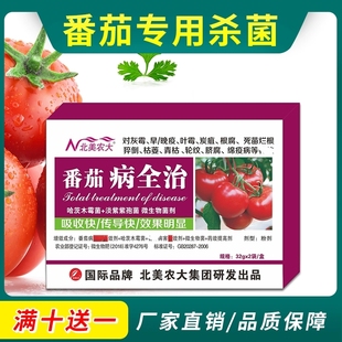 番茄病全治杀菌剂 番茄灰霉病霜霉病早疫晚疫病炭疽白粉病 专用药