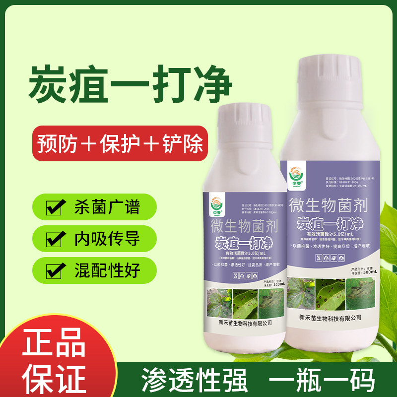 炭疽病专用杀菌制剂辣椒莴笋西瓜甜瓜炭疽病药茄子植物炭疽病正品