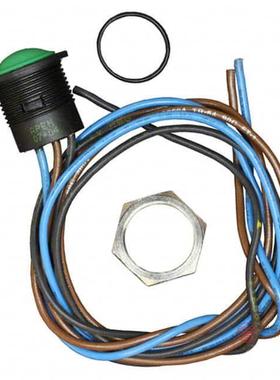 原装IAR5F1300全新SWITCH PUSHBUTTON SPDT 2A 24V正品