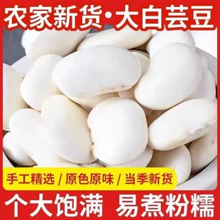 新鲜货贵州土特产四季大白芸豆正宗农家自种云豆干货老妈炖煮排骨