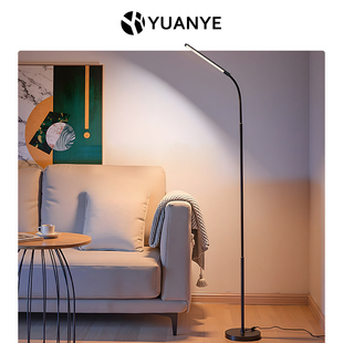 落地灯客厅沙发卧室床头立式 饰房间 台灯护眼阅读看书高级感暖光装