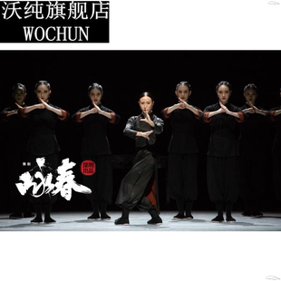 舞剧咏春水墨古典舞艺考演出服武术宗师表演练功服舞蹈飘逸太极服