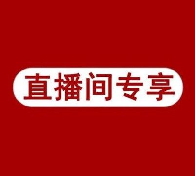 简单薄聚酯纤维宽松长袖百搭