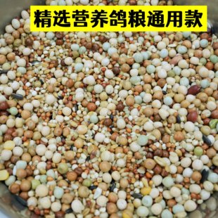 鸽粮信鸽饲料鸽子粮营养赛鸽粮观赏鸽鸟食抛光鸽粮豌豆混合鸽子粮