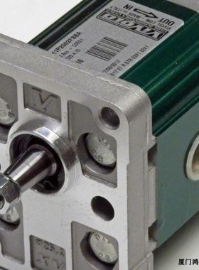 意大利VIVOIL 液压齿轮泵X1P2702FBBA