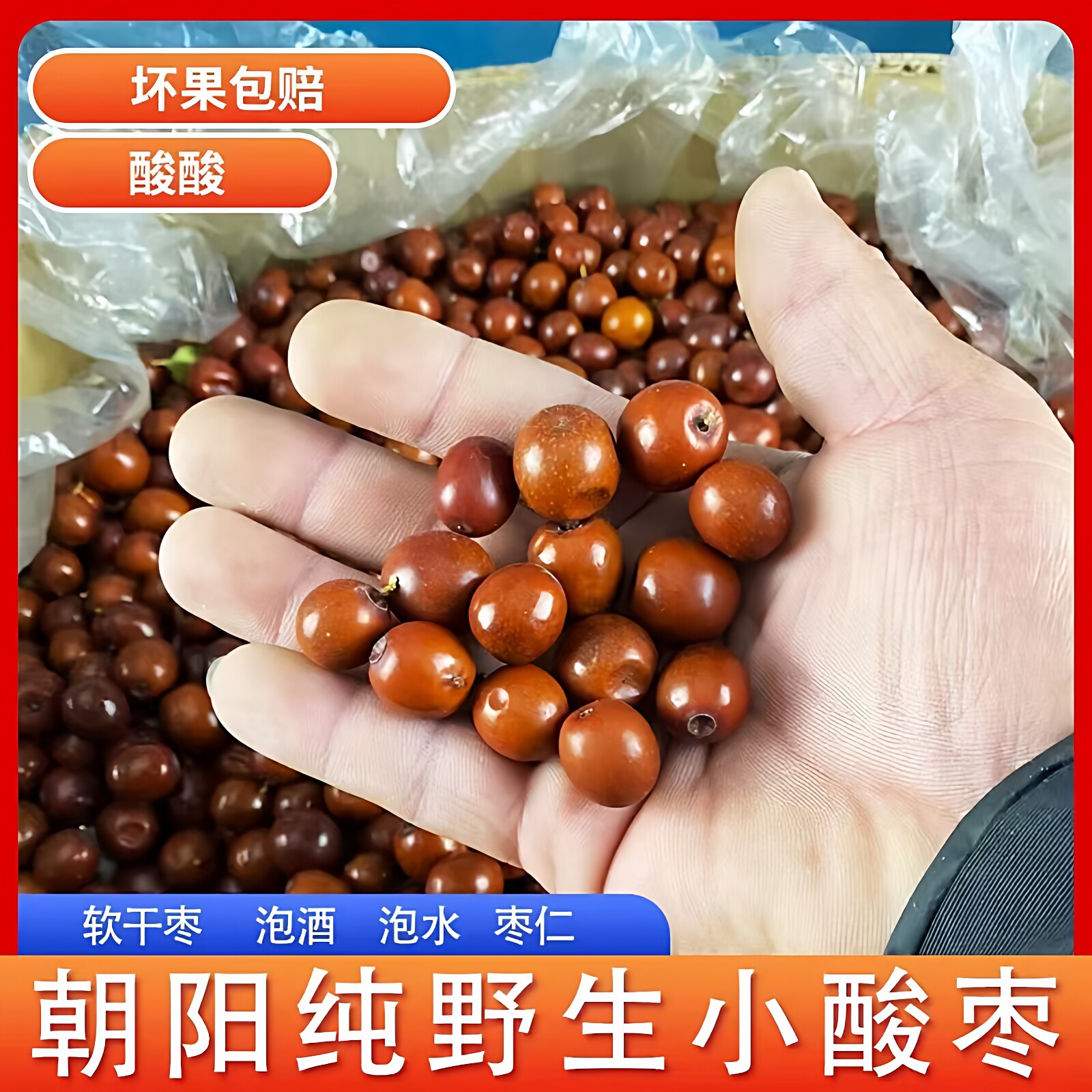25年东北朝阳纯野生山枣山沟小酸枣孕妇解馋新鲜软干枣快递包邮