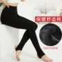 Na Jiao Ting mùa thu và mùa đông quần cotton một mảnh cotton cộng với quần legging nhung dày ấm áp để tăng chín điểm trên chân mặc mỏng đã mỏng - Xà cạp quần tất nữ hàn quốc