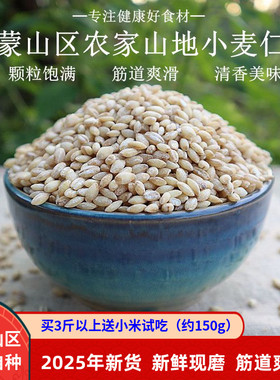 麦仁2025年新货去皮小麦仁农家食用杂粮煮粥脱皮现磨大麦仁米500g