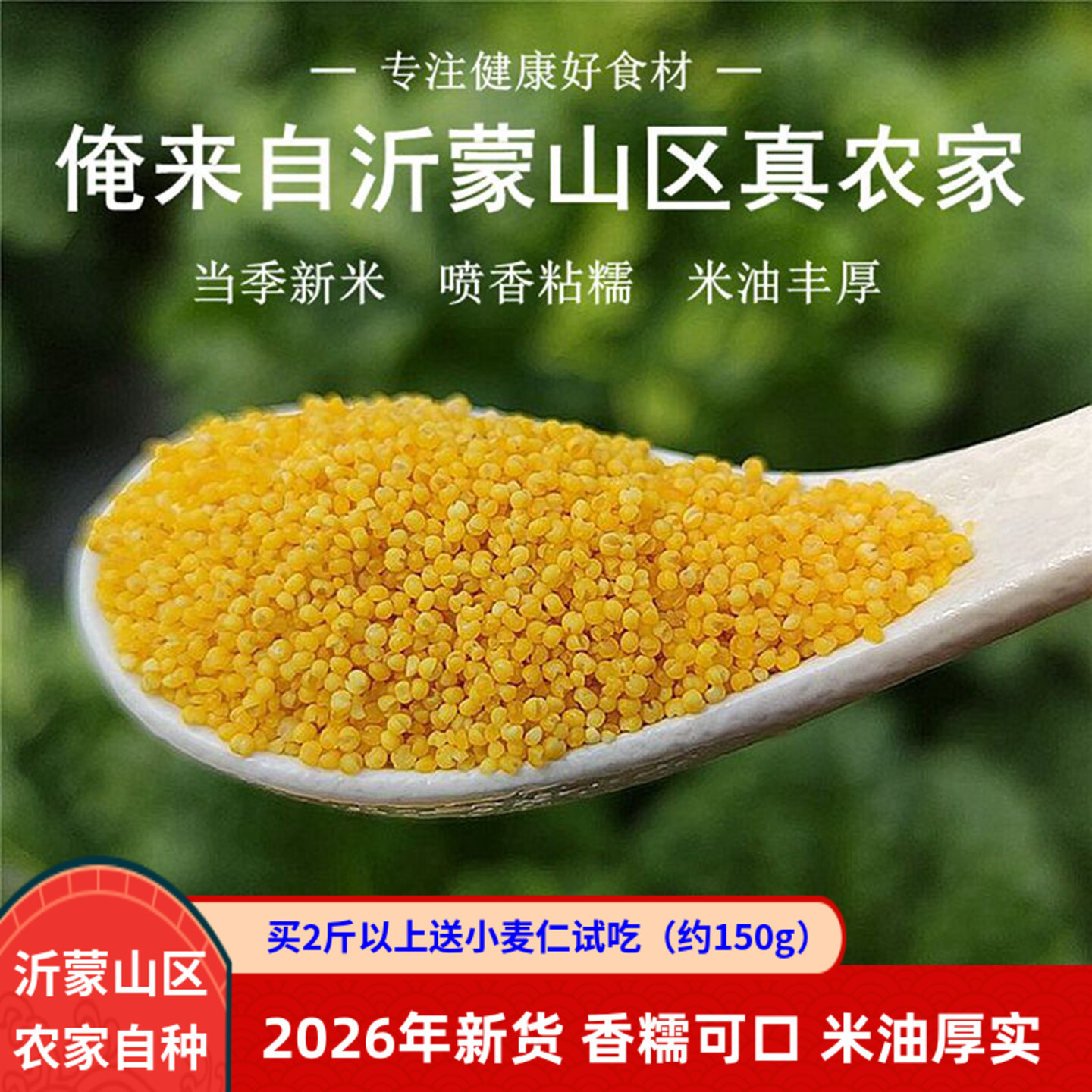 黄小米2026新米沂蒙山农家自种食用五谷杂粮月子米宝宝小黄米500g