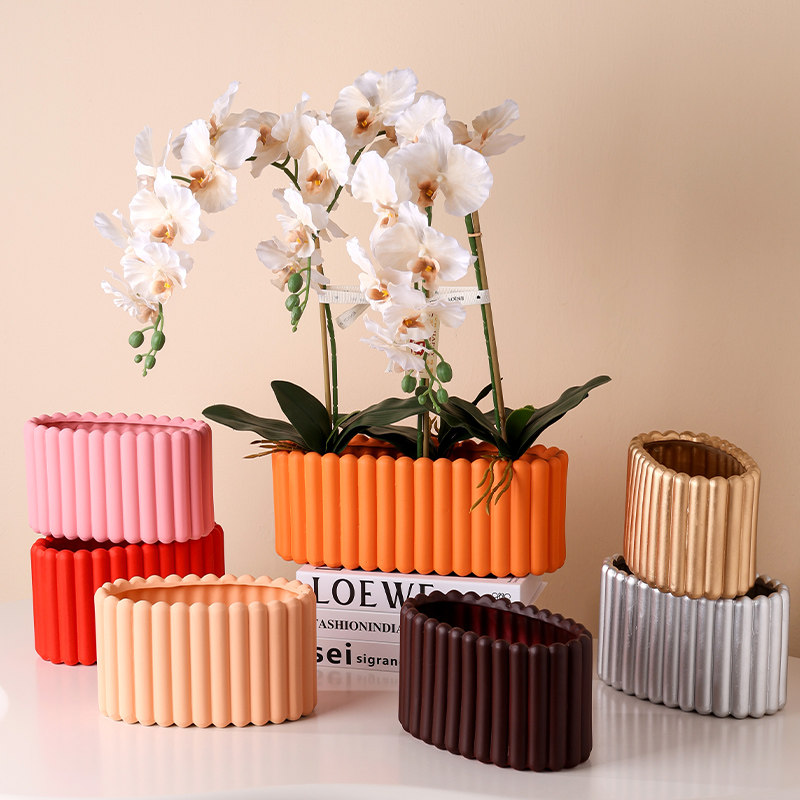 长圆形条纹单株蝴蝶兰花盆陶瓷新年年宵北欧简约绿萝办公室有孔