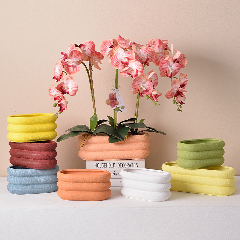 10万买过这款北欧蝴蝶兰花盆