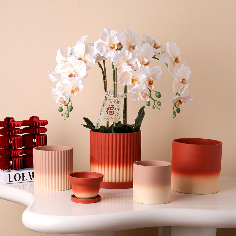 新年福桶蝴蝶兰花盆渐变迎春素烧红色花盆有孔带托盘仿真花发财果