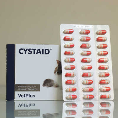 英国宠特宝利尿通猫尿结晶尿频