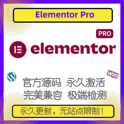 Elementor Pro永久使用授权插件不限制站点模版一键导入正版激活