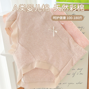 高腰全棉加长裆高腰女三角内裤 60支A类新疆彩棉 简约胖M抗菌大码