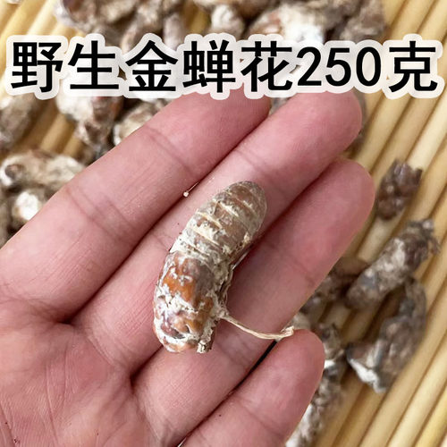 野生金蝉花250克知了花中药虫草花金蟾花蝉花粉