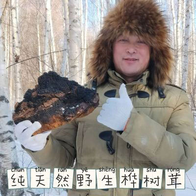 俄罗斯大块孔菌正品包邮桦树泪