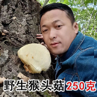 东北野生猴头菇250克干货新货深山采摘农家晾晒养胃可打粉