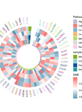 ceRNA调控网络lncRNA miRNA数据库挖掘