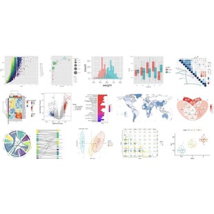 零基础Linux生信R语言16s数据qiim2单细胞测序微生物RNAseq基因组