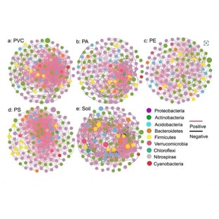 网络药理学专业cytoscape作图GO KEGG富集