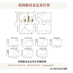 基因相对表达量计算、显著性分析加绘图