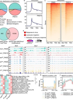 医学影像组学生信分析SCI2-9分PET-CT/CT/ECT转录组单细胞分析
