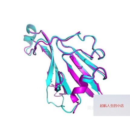 蛋白质结构预测 蛋白-蛋白相互作用预测 复合物预测