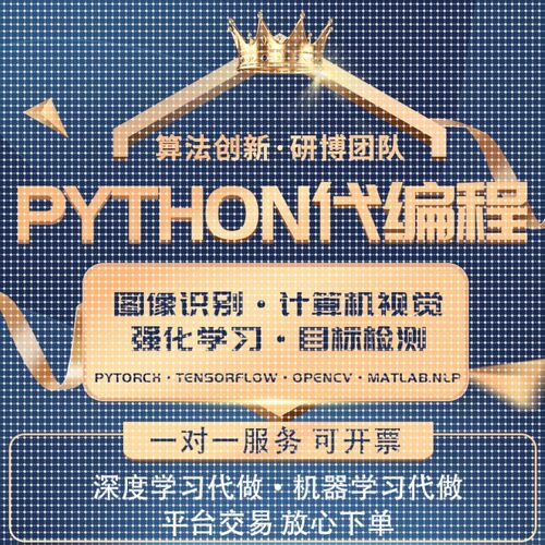 python代做程序开发深度机器学习算法创新点改进机器医学图像处理