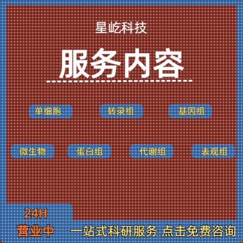 Materials Studio分子动力学模拟ms软件中英文视频MS中文系列教学