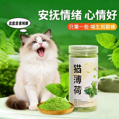 猫草罐装细粉猫填充猫玩具