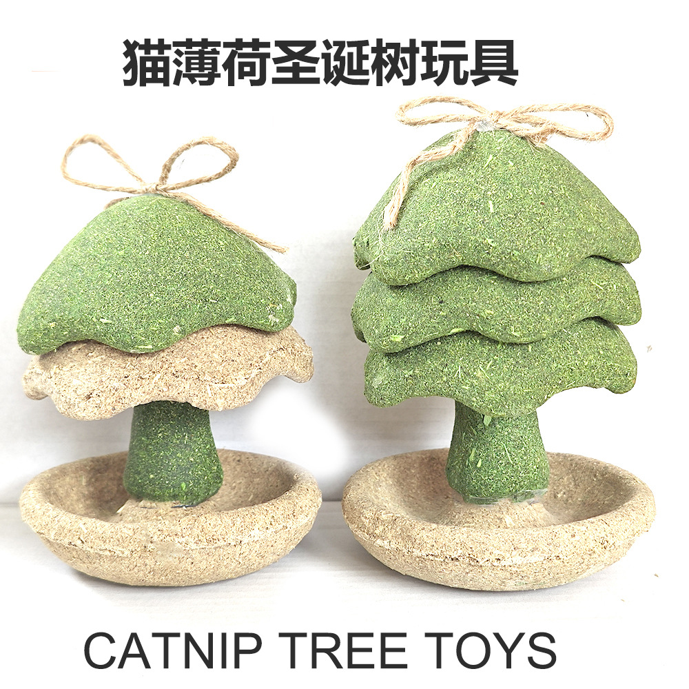 猫薄荷磨牙洁齿玩具磨牙宠物玩具耐咬耐玩多用途盒装猫猫喵咪玩具