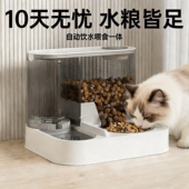 新品 猫咪自动喝水饮水一体喂食猫粮宠物用品二合一双碗喂食器猫盆