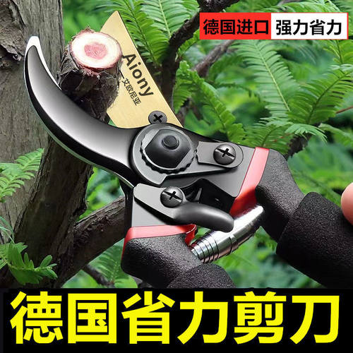 德国品质强力省力树枝剪修枝剪刀粗枝剪果树园林园艺剪葡萄盆栽剪