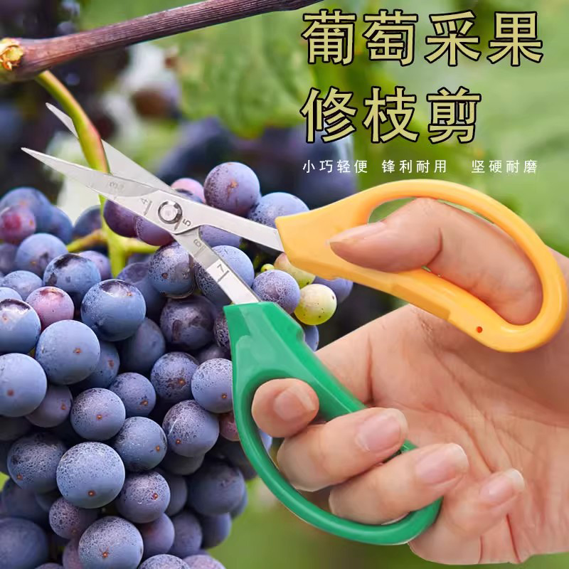 修枝剪葡萄专用剪园林果树摘果剪园艺盆栽花卉修枝剪翘头蔬果剪刀