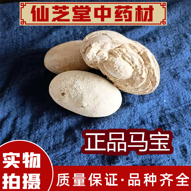 中药材马宝 别名 马结石 马粪石 赭丹 天然正品 支持药检 5克包邮