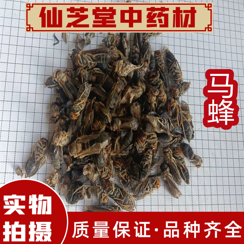 马蜂中药材大黄蜂葫芦蜂无提取高含量250g包邮新鲜干货另售大将军