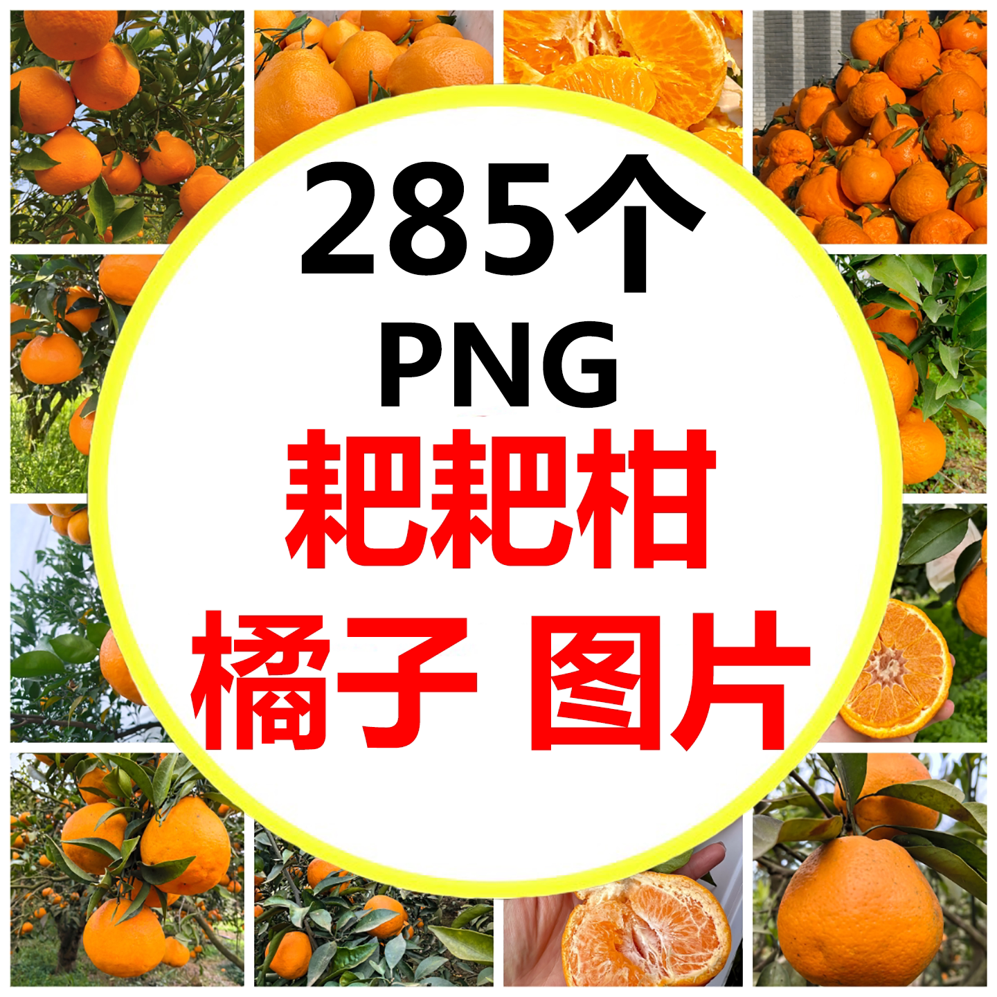 四川耙耙柑水果丑柑正宗四川眉山设计素材/源文件