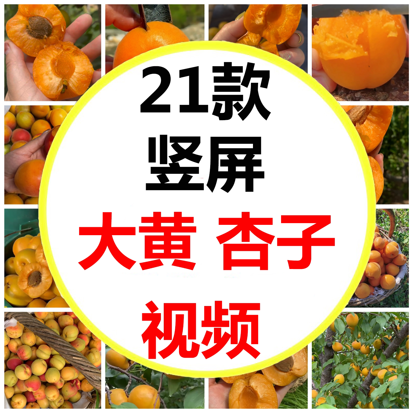 脆杏儿杏子凯特大黄杏子果肉黄灿设计素材/源文件